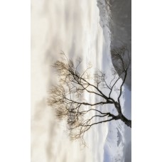 Wanaka бежевый декор 2 250х400